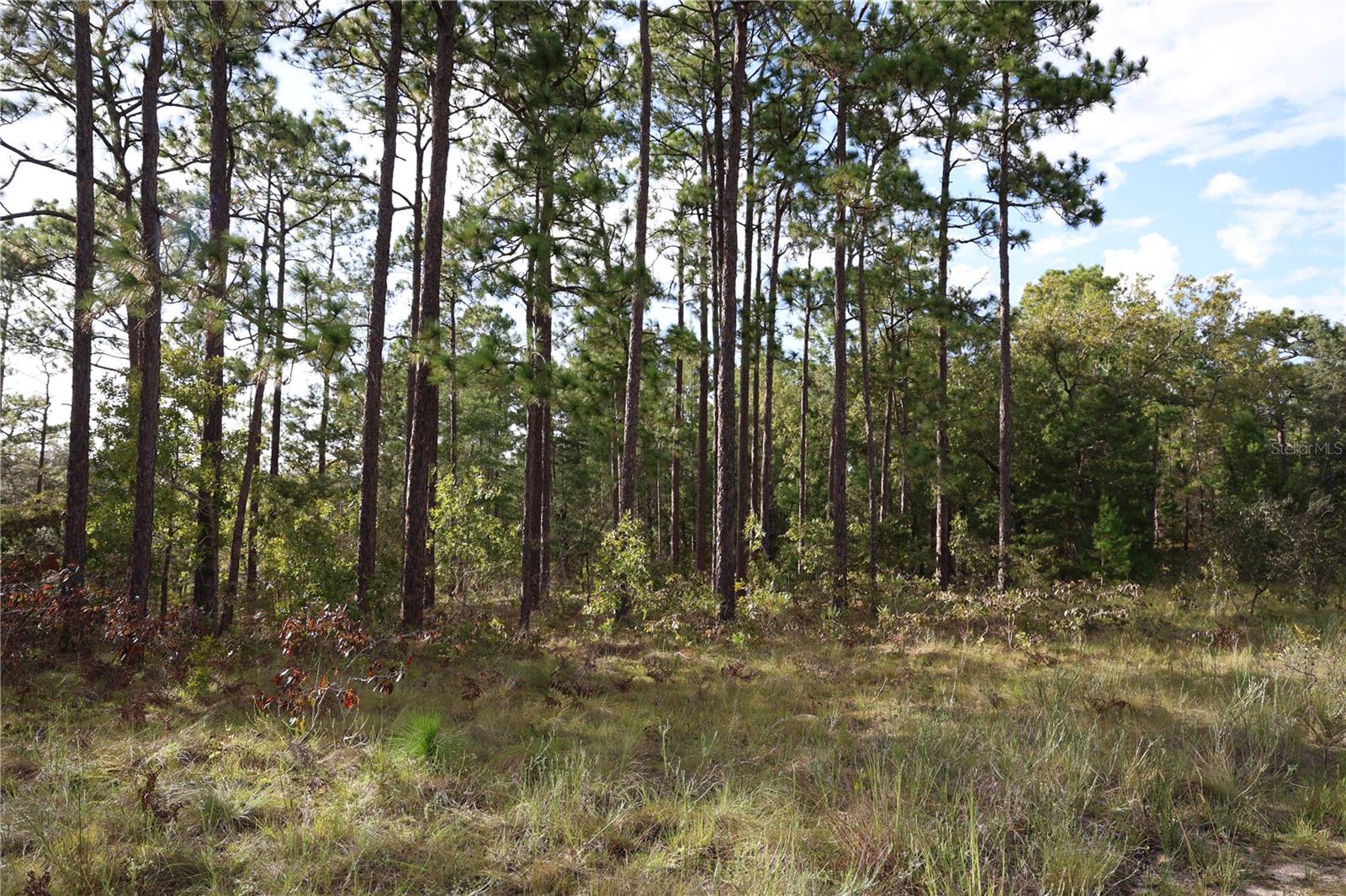 MELROSE LANDING - Land