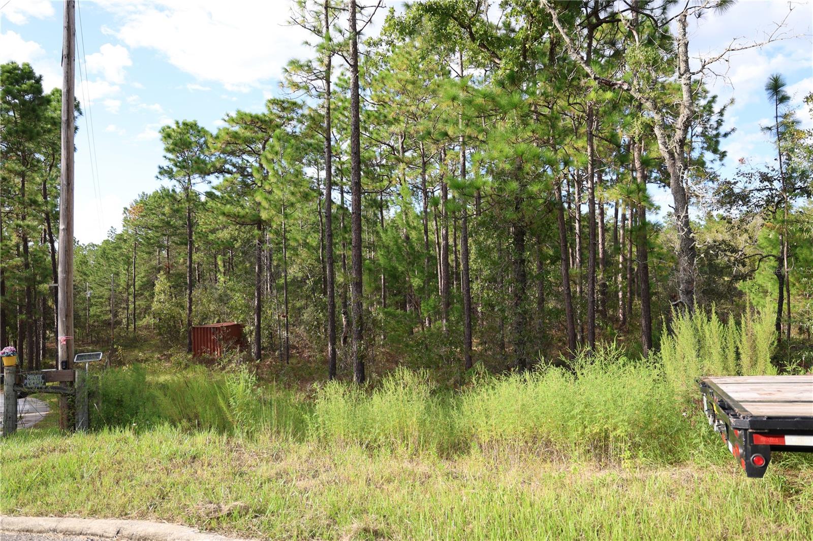 Build your dream home on this spacious 5.22 acre lot in the desirable Melrose Landing community. Property features paved road frontage on a cul-de-sac, a quiet setting, high and dry, flexible zoning, and access to a private airstrip for property owners. Conveniently located near Melrose, Gainesville, and Palatka with easy access to shopping, dining, and recreational lakes. Enjoy the privacy of a rural community with the flexibility to build now or hold for future use.