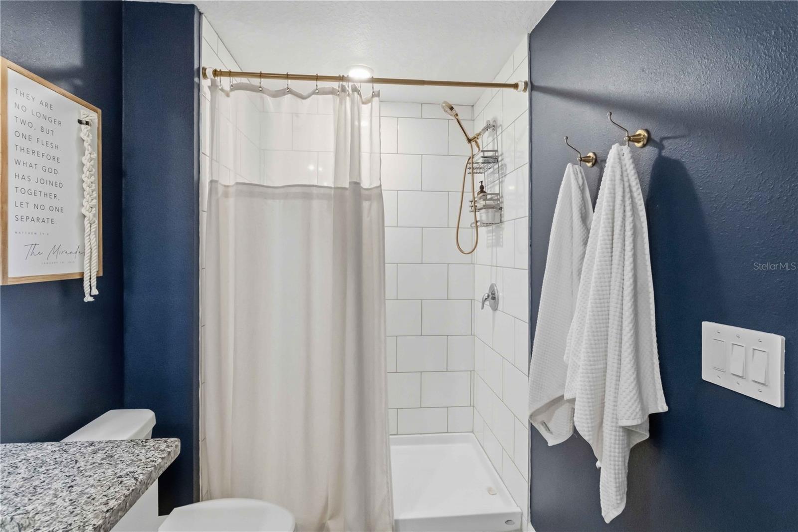 TOWNHOMES AT SOUTHSHORE COMMUNITY - Residential