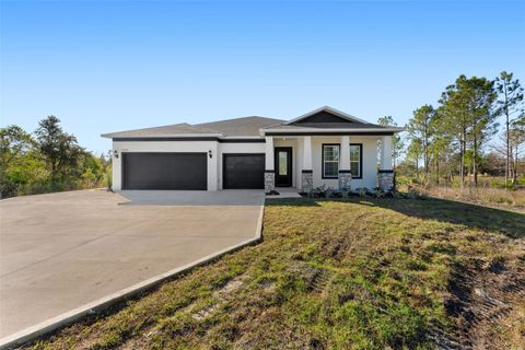 Photo of 18806 Seaview Street, Orlando, FL 32833 (MLS # O6375523)