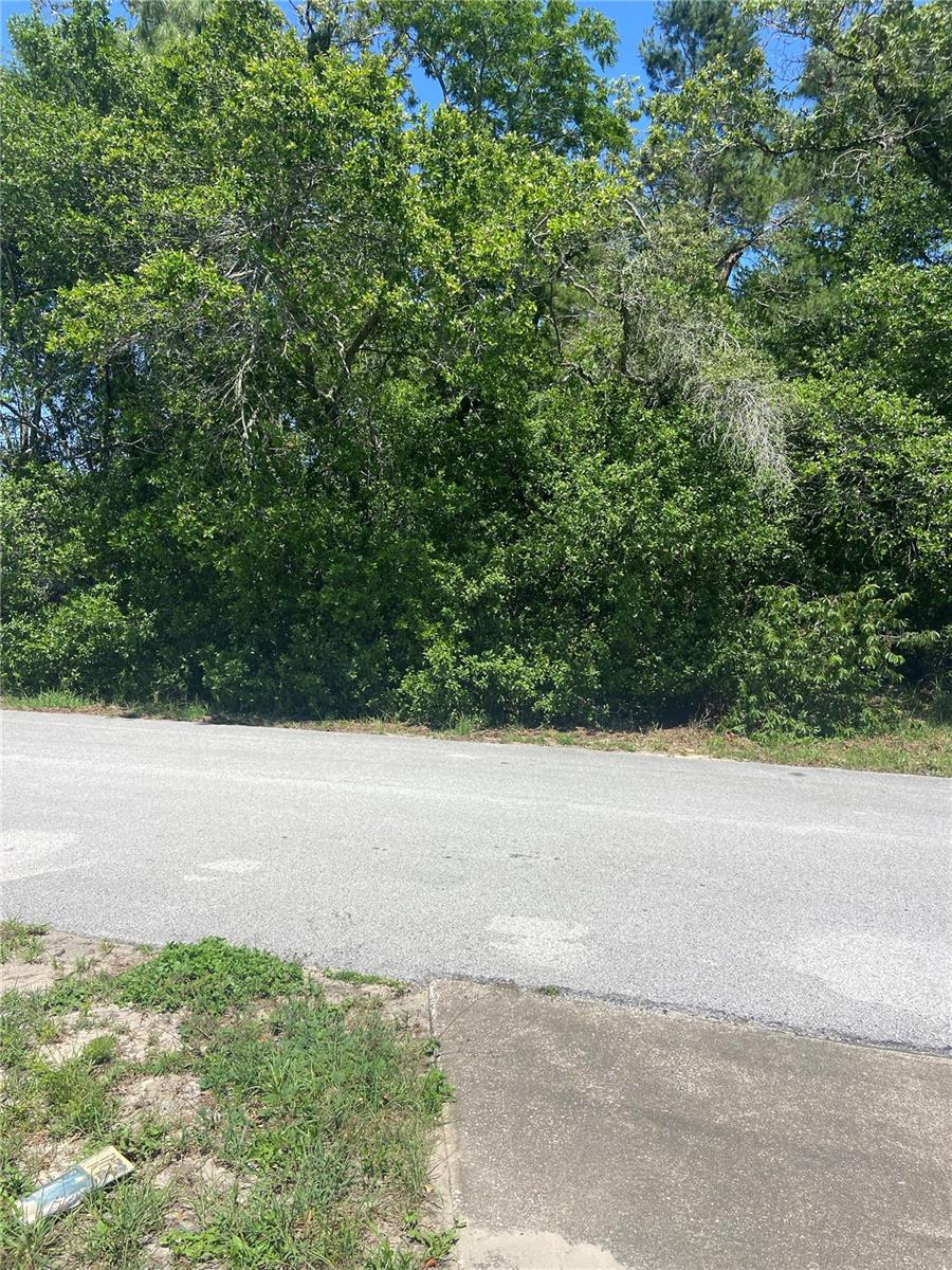 Listing image 6