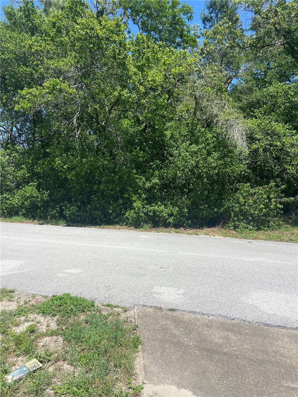 Photo of Bluffview Dr, Spring Hill, FL 34609 (MLS # OM701540)