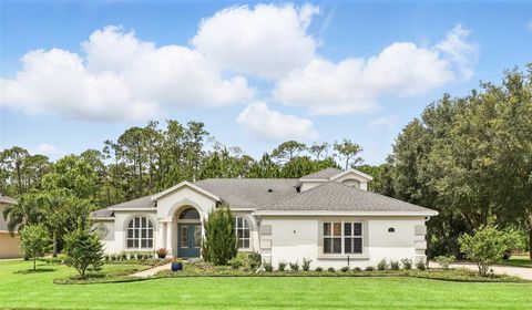 2908 LEE SHORE LOOP ORLANDO FL 32820