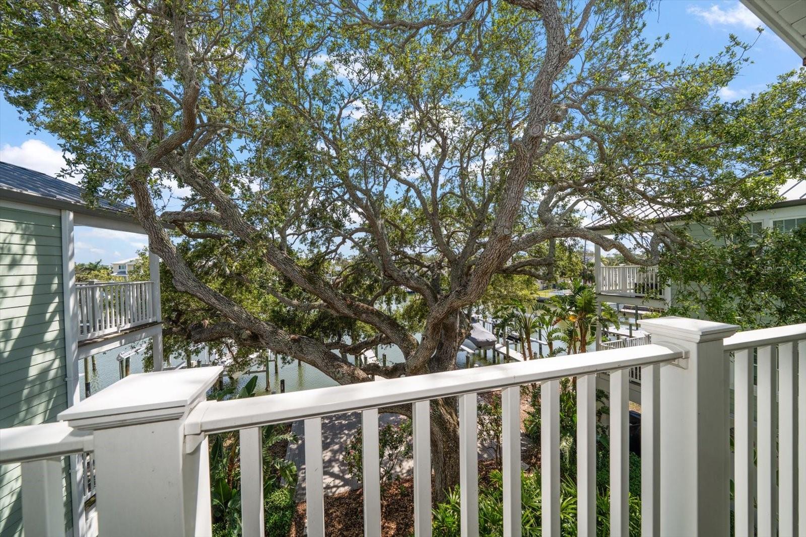 BAYSIDE OAKS - Residential