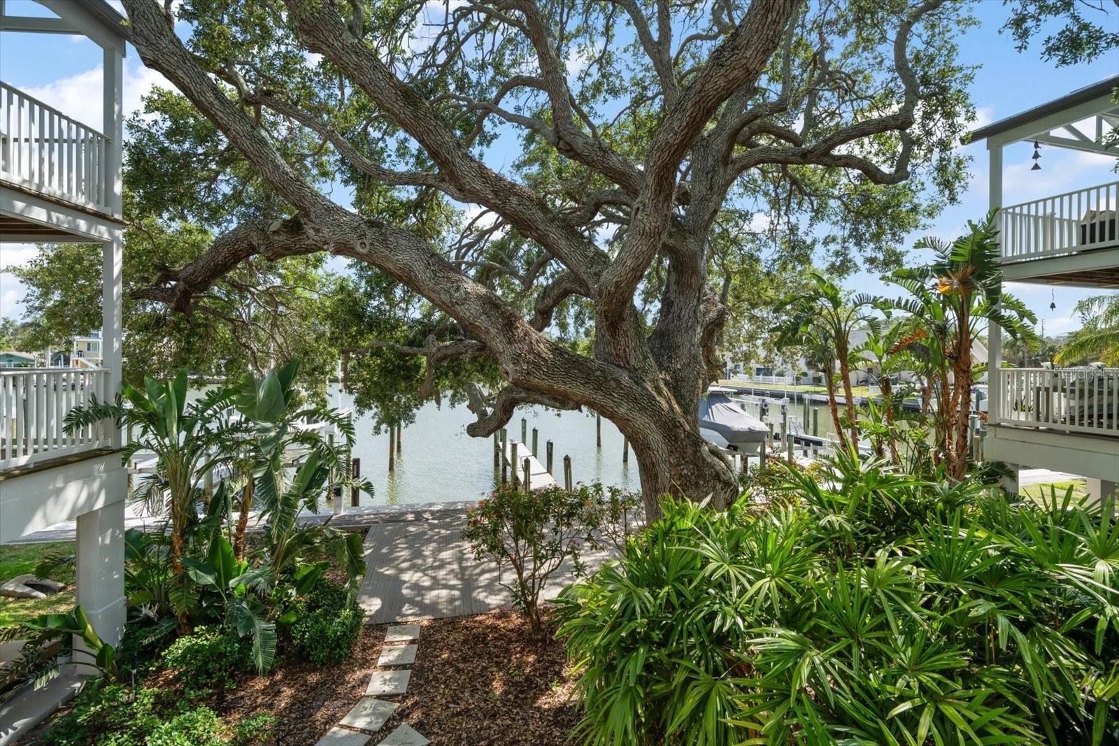 BAYSIDE OAKS - Residential