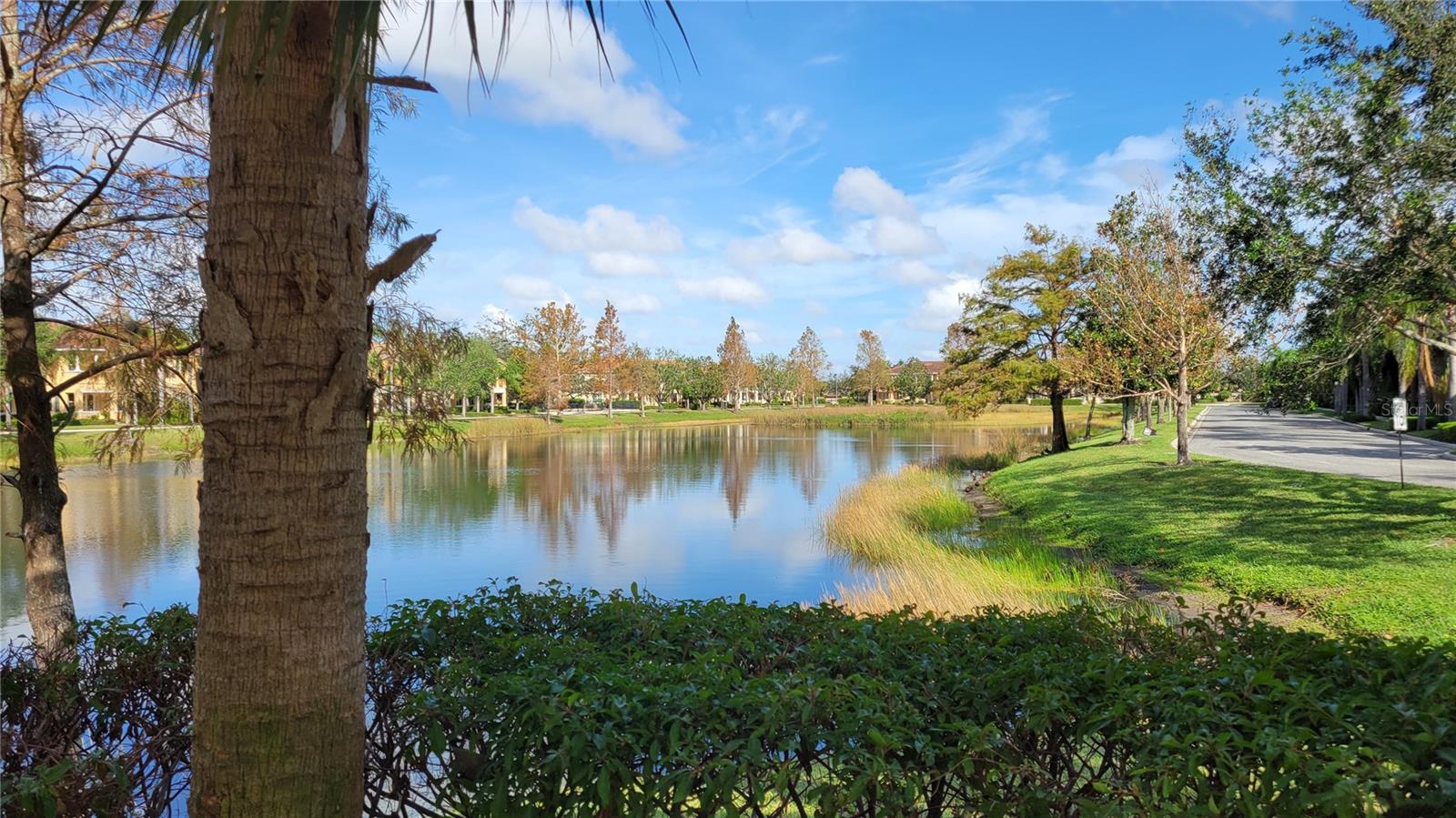 SAN MICHELE AT UNIVERSITY COMMONS - Residential Lease