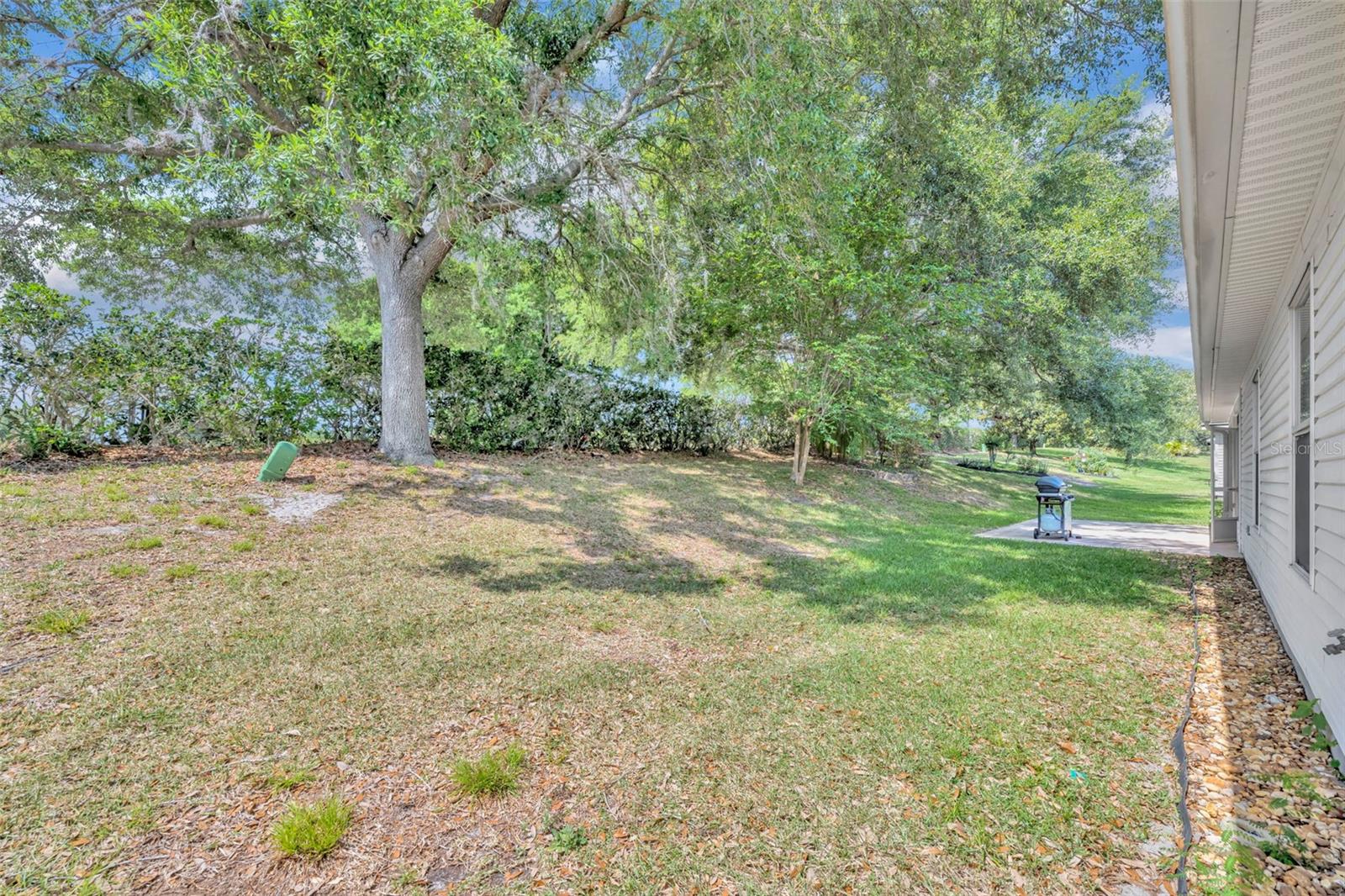 PLANTATION AT LEESBURG SAWGRASS VILLAGE - Residential