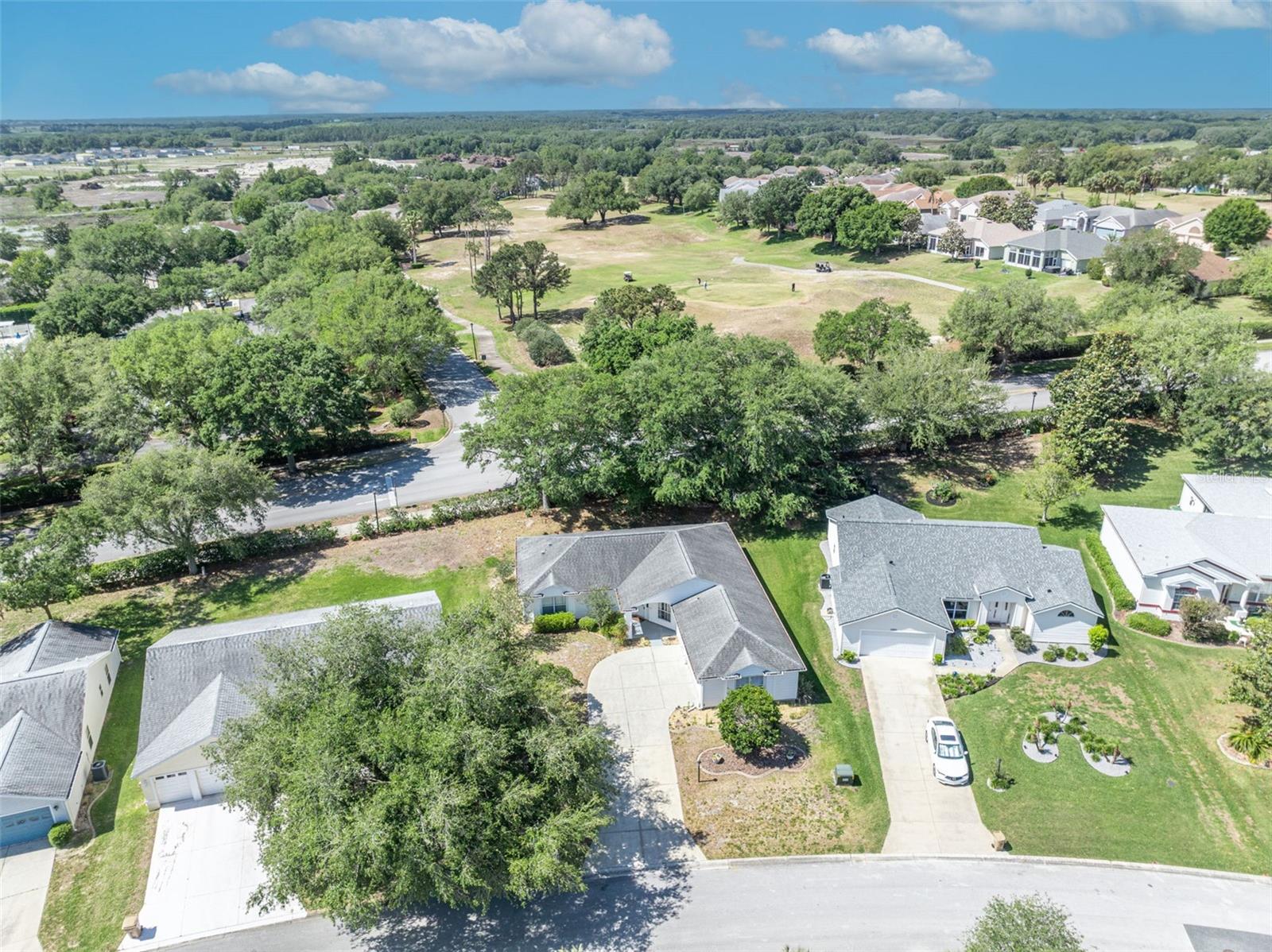 PLANTATION AT LEESBURG SAWGRASS VILLAGE - Residential