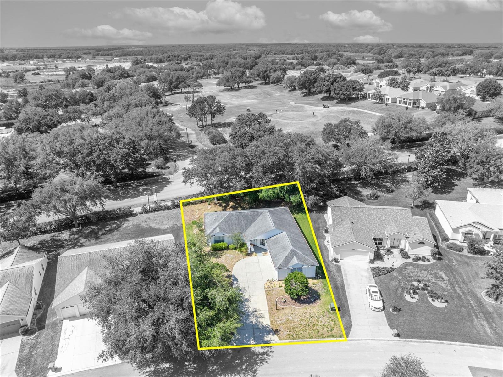 PLANTATION AT LEESBURG SAWGRASS VILLAGE - Residential