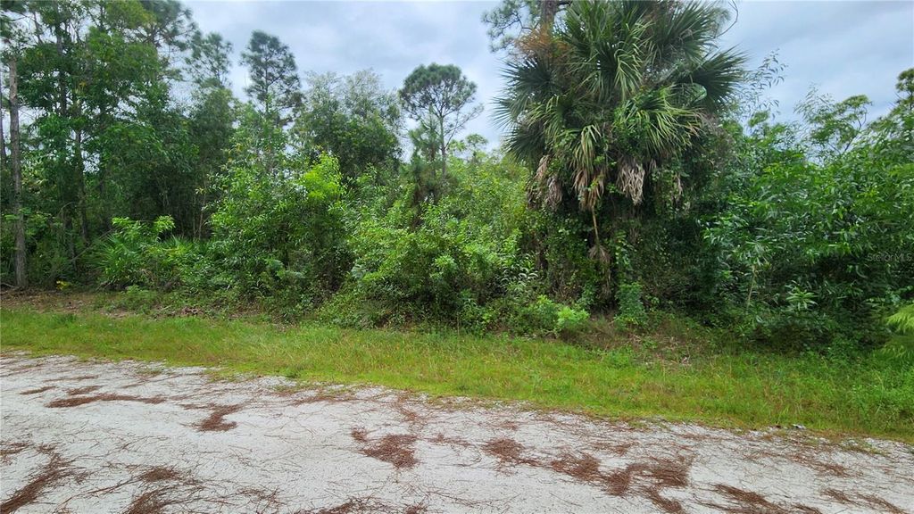 Photo of 12331 Graffiti Drive, Punta Gorda, FL 33955 (MLS # C7516887)