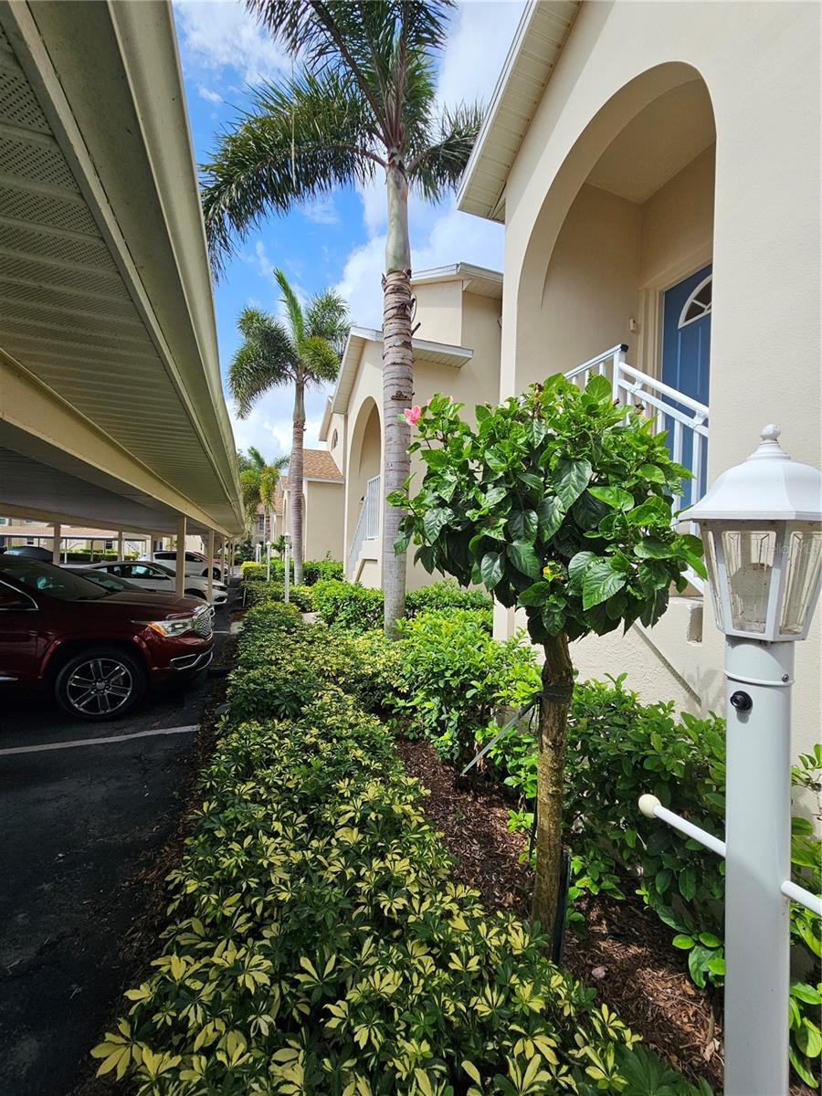 Lovely ground-floor condo in the gated Pinestone at Palmer Ranch community! This spacious 2-bedroom, 2-bath unit features an open layout with plenty of natural light. The kitchen offers ample cabinet and counter space, a breakfast bar island, and appliances including a refrigerator, microwave, range, and dishwasher. Tile floors in the kitchen and baths, newly carpeted bedrooms, and laminate wood flooring in the living area add to the appeal. The primary suite includes a walk-in closet and private bath. Inside laundry closet with included washer and dryer and exterior storage closet. One carport provided right in front of unit and open parking for a 2nd vehicle. Relax or entertain in the open-concept living/dining area or step outside to the screened lanai and patio with views of expansive scenic lake. Rent includes water/sewer, lawn care, trash, and pest control. Sorry, no pets (community association rule). No smoking or vaping is allowed anywhere on property. Ideally situated just minutes from Siesta Key, popular restaurants, Costco, and the scenic 10-mile Legacy Trail. Pinestone is gated and boasts outstanding amenities, including a heated pool and hot tub with a large deck, BBQ grills, a covered picnic area, lighted tennis, pickleball and basketball courts, a fitness center, billiard room, and 32 seat movie theater. Note that HOA does not allow tenants to have pets. Don’t miss this opportunity to enjoy resort-style living in one of Sarasota’s most desirable locations! First, last and security is required.