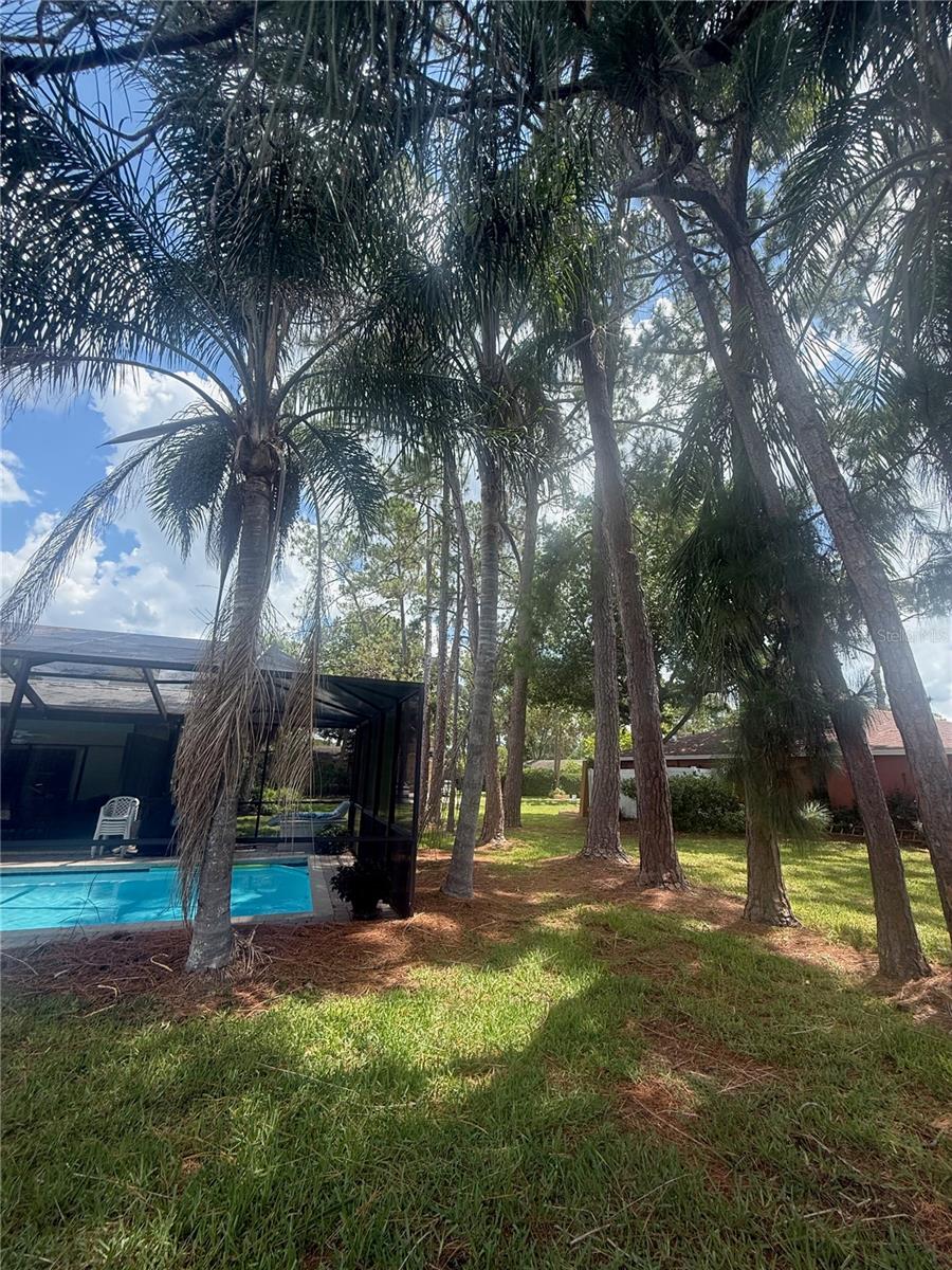 TARPON WOODS THIRD ADD - Residential