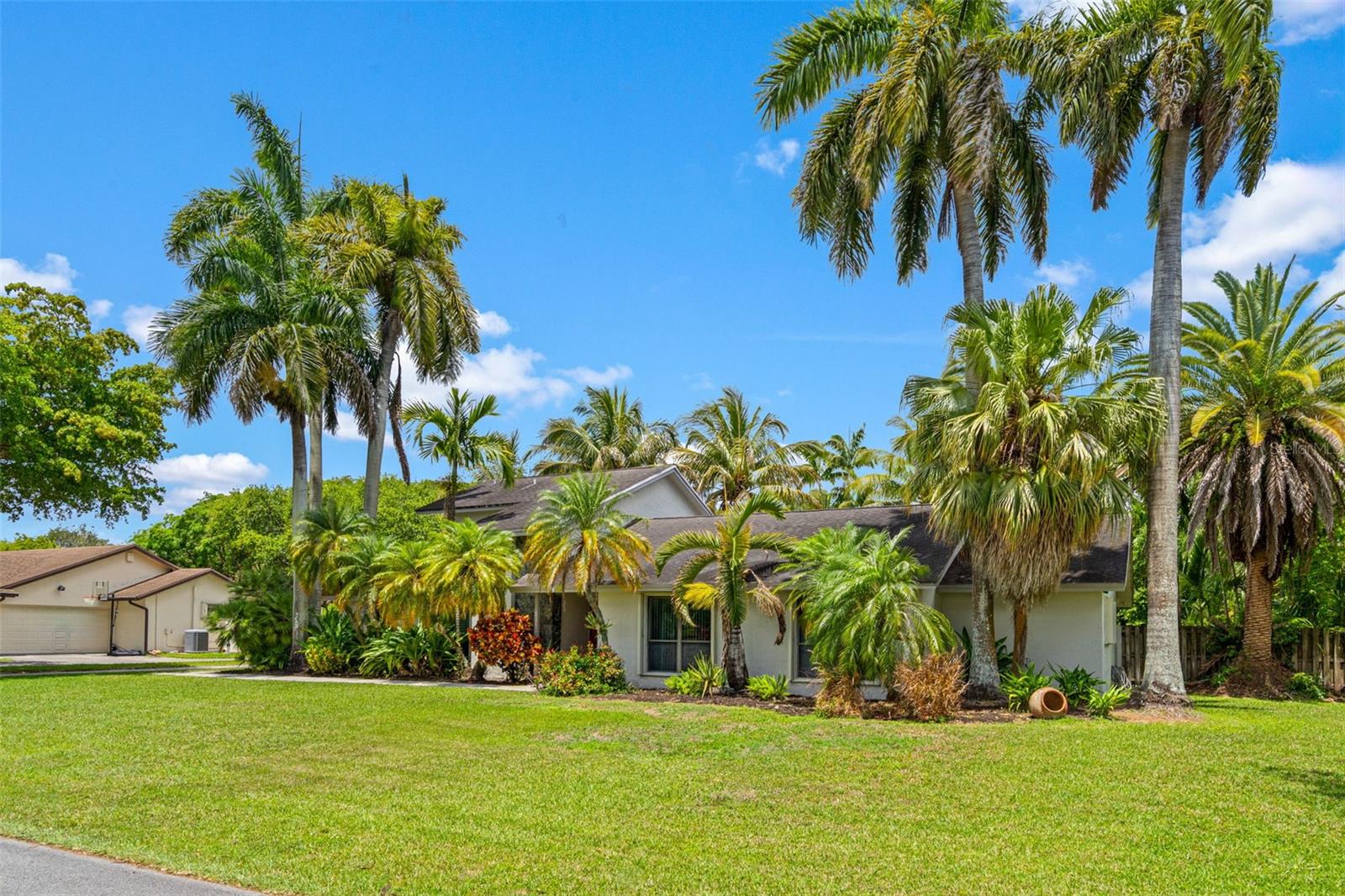 KINGS GROVE - Residential