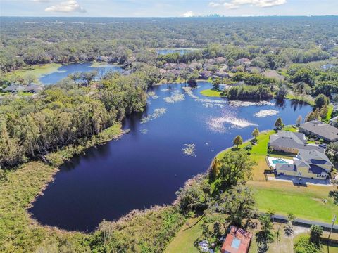 A home in TAMPA