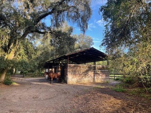 Tiny photo for 7059 E Hwy 318, Citra, FL 32113 (MLS # OM709454)