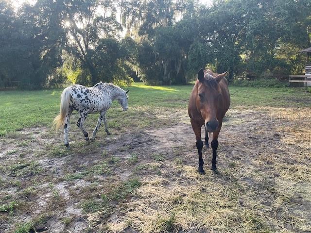 AG NONSUB - Residential