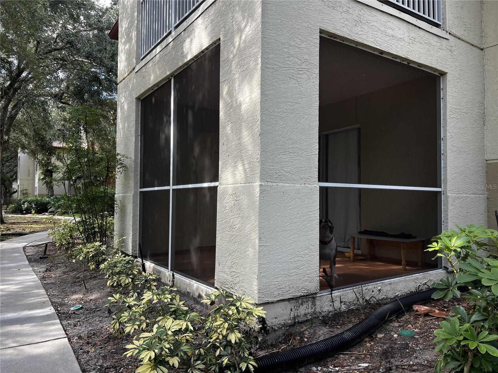 BONA VISTA CONDO - Residential Lease