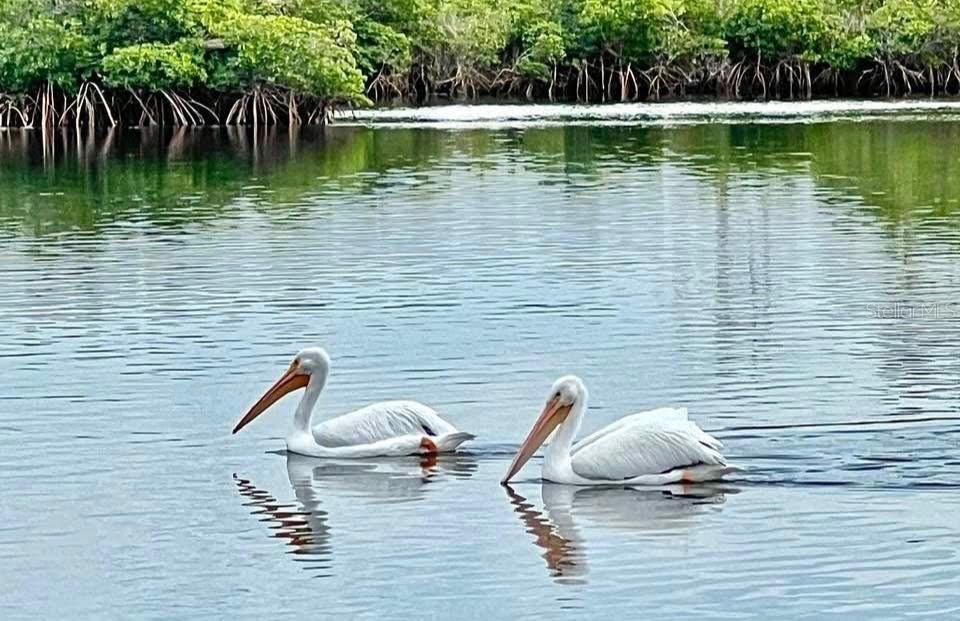 PEARSONS BLACK CREEK UNREC SUB - Residential