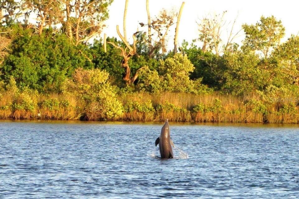 PEARSONS BLACK CREEK UNREC SUB - Residential