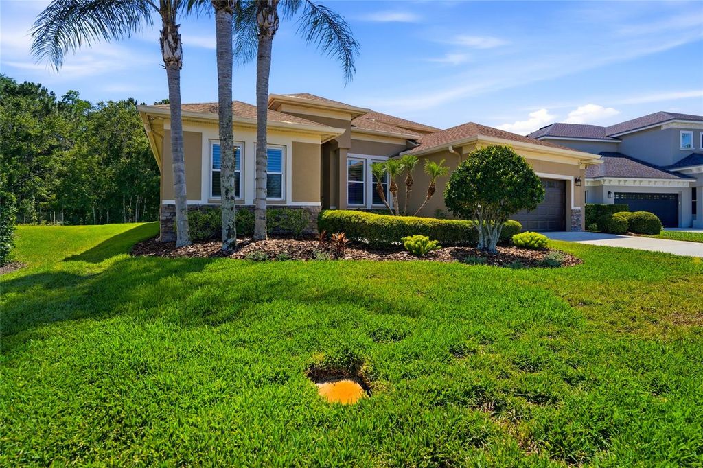 Photo of 3320 Grassglen Place, Wesley Chapel, FL 33544 (MLS # TB8509421)