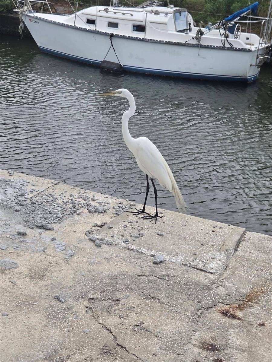 VISTA DEL MAR - Residential