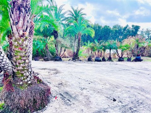 Tiny photo for 8440 County Road 48, Yalaha, FL 34797 (MLS # O6383051)