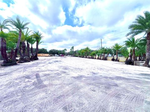 Tiny photo for 8440 County Road 48, Yalaha, FL 34797 (MLS # O6383051)