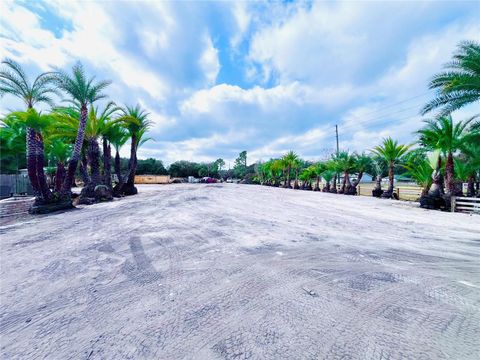 Tiny photo for 8440 County Road 48, Yalaha, FL 34797 (MLS # O6383051)