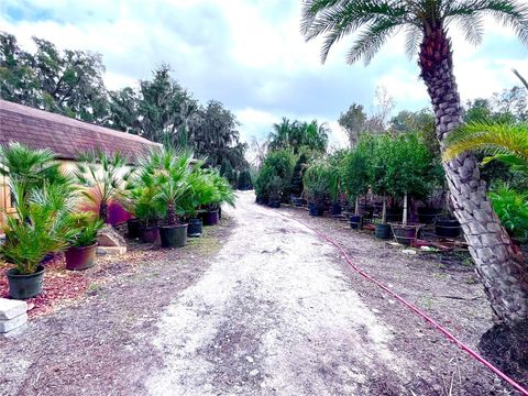 Tiny photo for 8440 County Road 48, Yalaha, FL 34797 (MLS # O6383051)