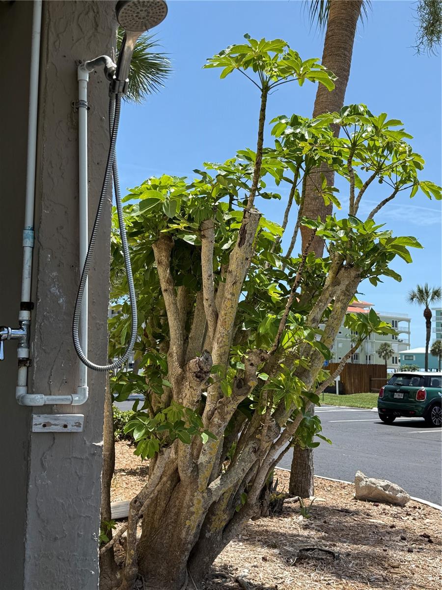 BAY SHORES YACHT & TENNIS CLUB - Residential