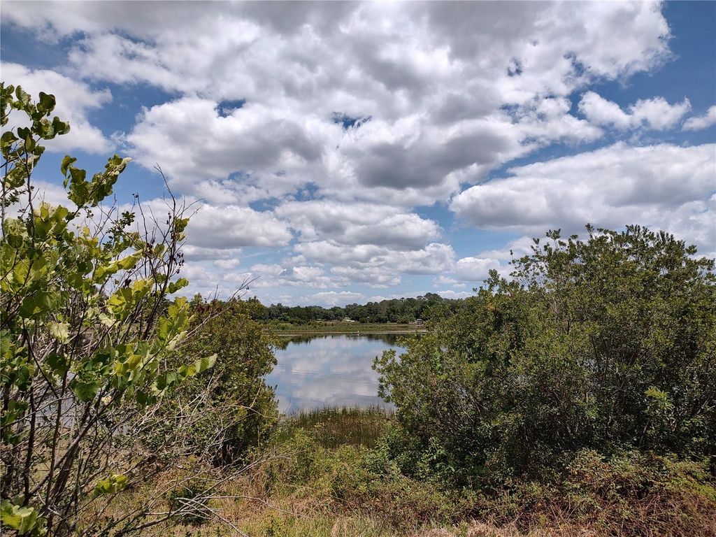 Photo of 16885 SE 71st Street, Ocklawaha, FL 32179 (MLS # OM726205)