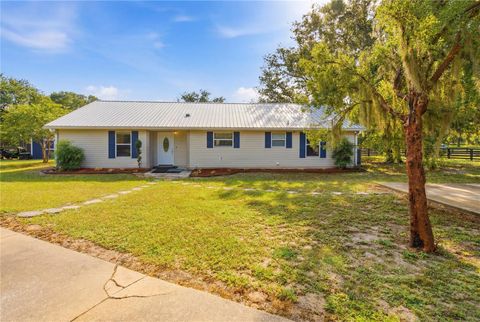 Photo of 16723 SE 173rd Terrace Road, Weirsdale, FL 32195 (MLS # O6416233)