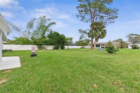 A home in PALM COAST