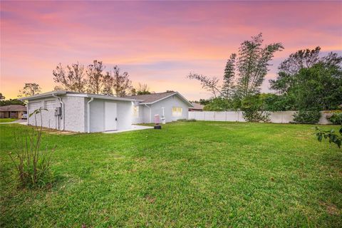 A home in PALM COAST