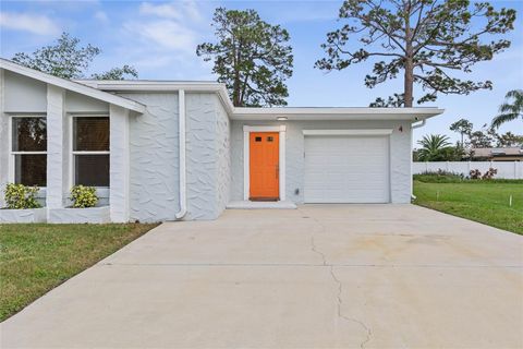 A home in PALM COAST