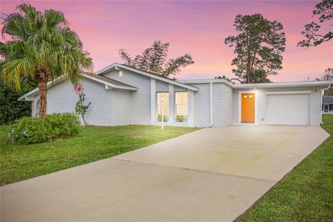 A home in PALM COAST