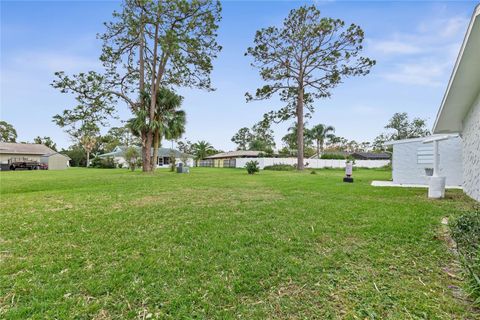 A home in PALM COAST