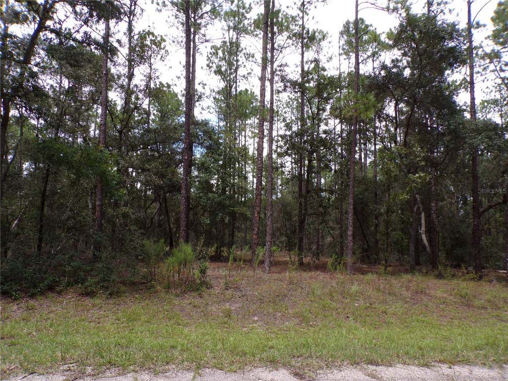 Photo of 601 E Marquette Lane, Citrus Springs, FL 34434 (MLS # W7888437)