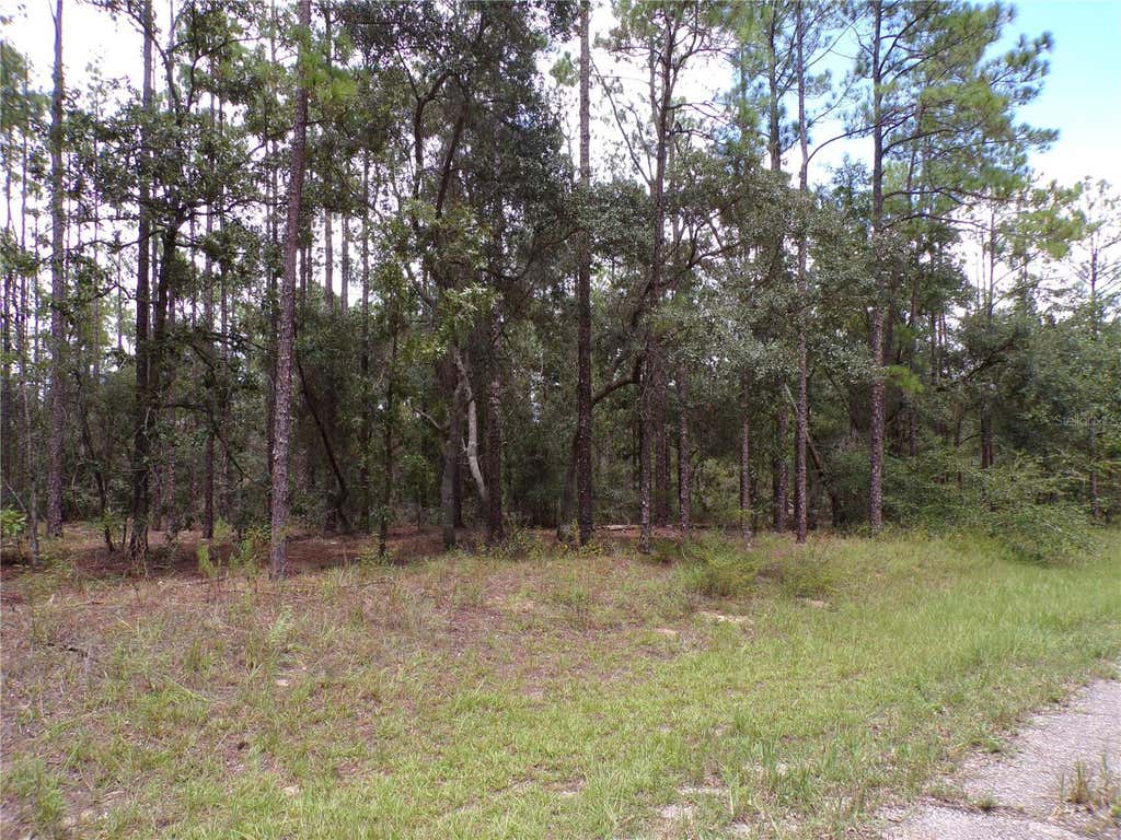 Photo of 601 E Marquette Lane, Citrus Springs, FL 34434 (MLS # W7888437)