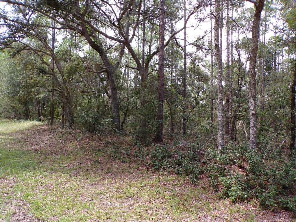 Photo of 601 E Marquette Lane, Citrus Springs, FL 34434 (MLS # W7888437)