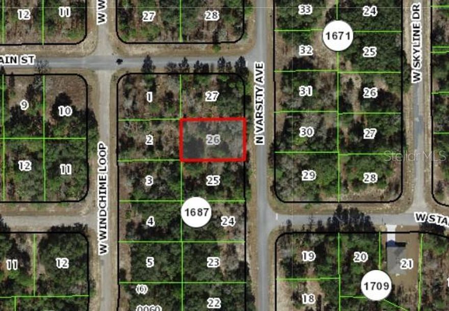 No HOA, High and Dry! Discover the perfect opportunity to build your dream home on this spacious vacant lot in the peaceful community of Citrus Springs. Nestled in a quiet rural setting, this property offers the ideal blend of privacy and natural beauty while still being conveniently located near everyday essentials.

Surrounded by lush greenery and open space, the lot provides plenty of room for a custom home, outdoor living, and more. Enjoy the relaxed pace of country living with easy access to nearby towns, shopping, dining, and recreational activities.

Located in Citrus County, you’ll be just a short drive from the crystal-clear springs, golf courses, and nature trails that make this area so desirable. Whether you’re looking to build now or invest for the future, this property offers incredible potential in a growing area.

Don’t miss your chance to own a piece of Florida’s natural beauty—come explore the possibilities today!