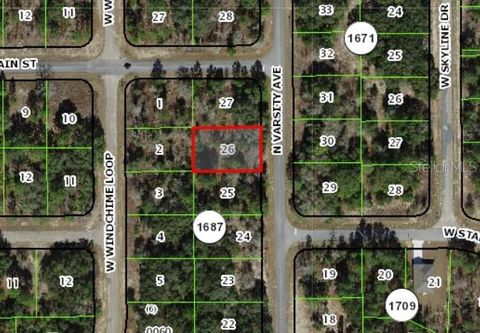 6648 VARSITY DUNNELLON FL 34434