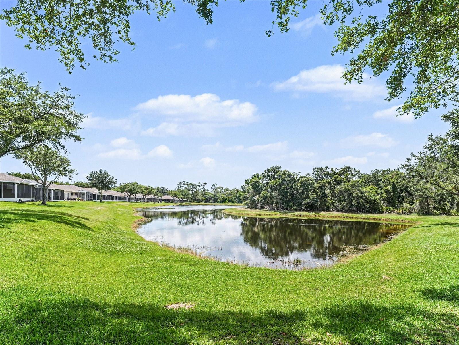 FISHHAWK RANCH PH 2 PRCL Z - Residential