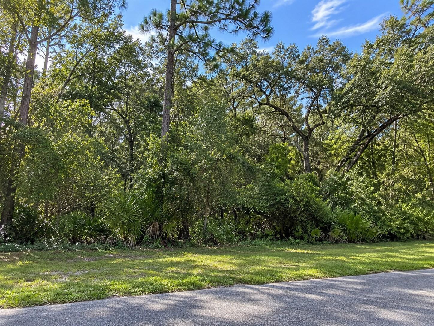 LITHIA PINECREST ROAD