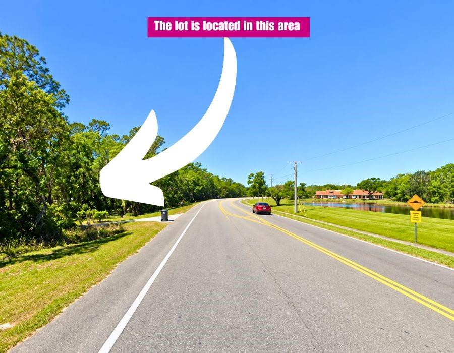 LITHIA PINECREST ROAD
