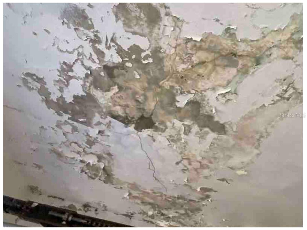 BARRIO MIRADERO - ALTURAS DE MAYAGUEZ - Residential