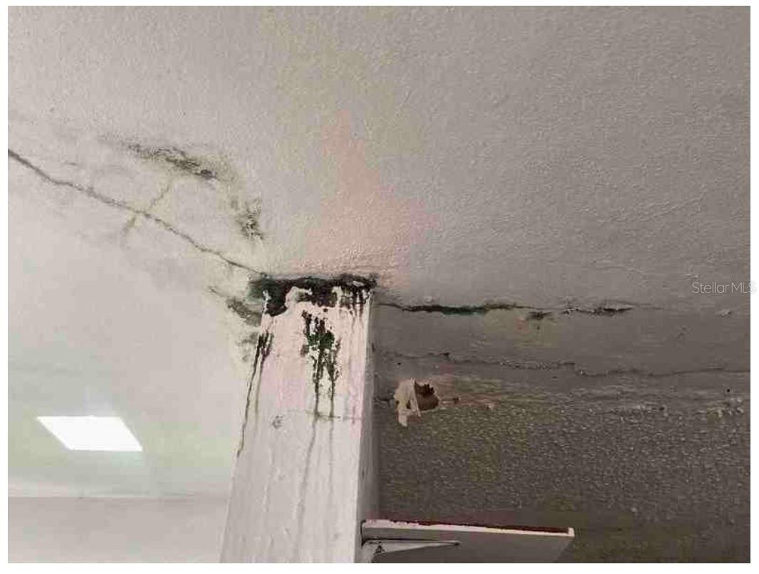 BARRIO MIRADERO - ALTURAS DE MAYAGUEZ - Residential