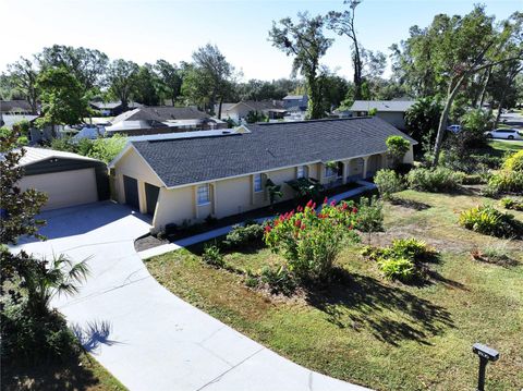 A home in VALRICO