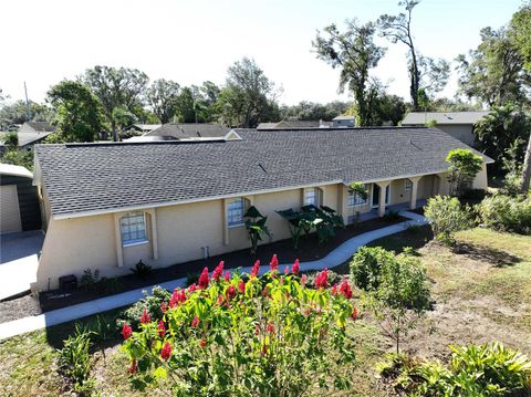 A home in VALRICO