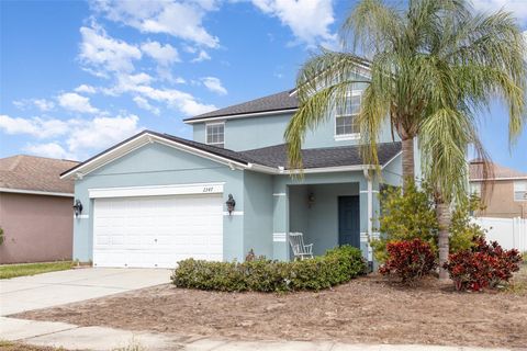 2347 RICHWOOD PIKE DRIVE RUSKIN FL 33570